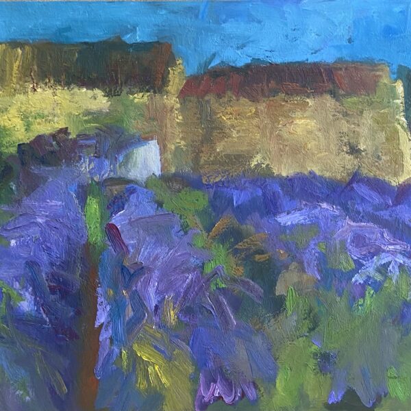 PROVENCE LAVENDER 2023 | 50x70cm | oil on board -framed