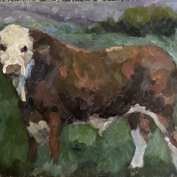 SIMMENTAL BULL 2020 | 40x50cm | oil on board -framed