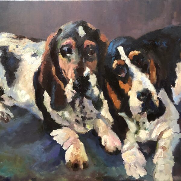 BASSET HOUNDS 2018 | 60X76 cm | oil on canvas